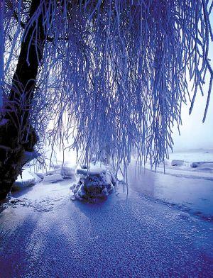 雨雪特巡保供电