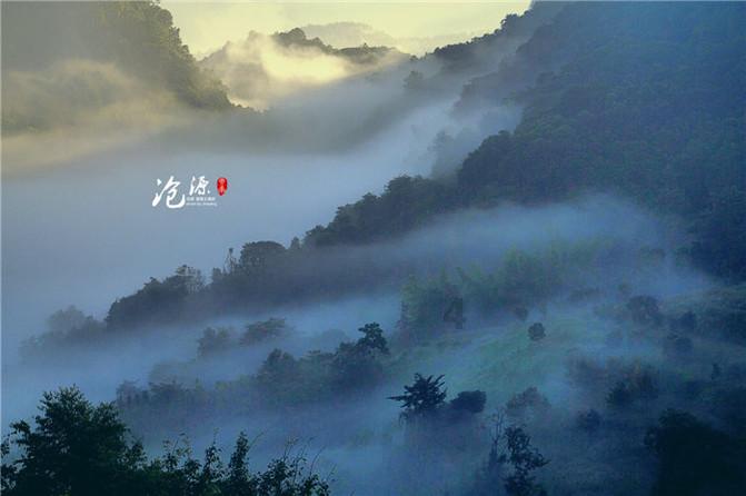 你认为为什么明星头发都那么亮？游戏画面