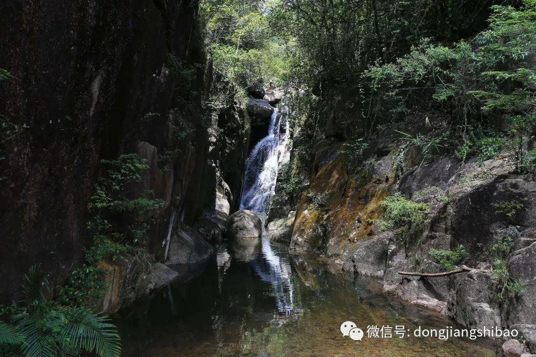 特高压建设进程加快,海外业务稳步开拓,金杯电工有望迎来新增长曲线