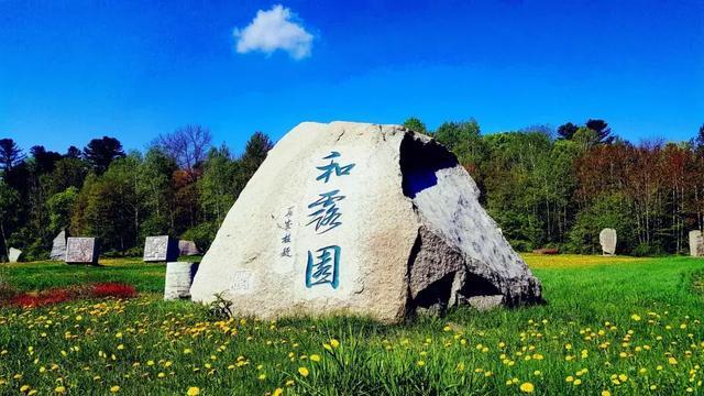 兰博基尼填颜色