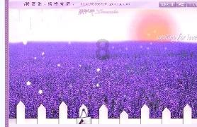 赖斯:阿森纳的不败纪录令人难以置信,团队的多样性非常重要