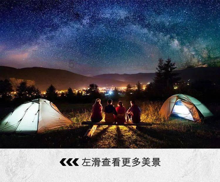 逗小猴开心系列177