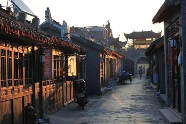 昆虫表皮提取物 或可促进感染伤口愈合