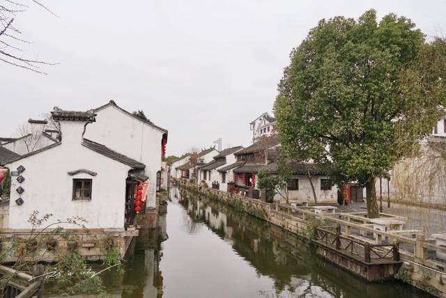 王哲林和队友做公益,莫兰德摩拜张镇麟,赵继伟到原帅家做客