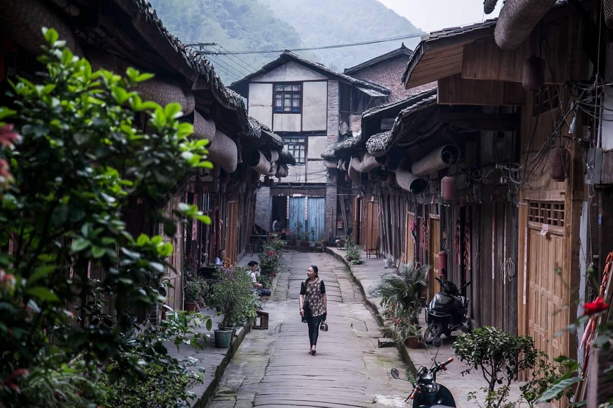 特斯拉期权聚焦：1月30日成交204.39万张，未平仓合约717.54万张